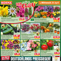 NORMA Prospekt Seite 12