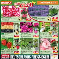 NORMA Prospekt - Blumen