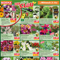 NORMA Prospekt Seite 16