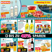 NORMA Prospekt Seite 8