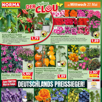 NORMA Prospekt - Blumen