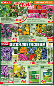 NORMA Prospekt - Angebote ab 26.05.
