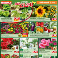 NORMA Prospekt Seite 14