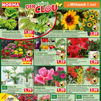 NORMA Prospekt Seite 14
