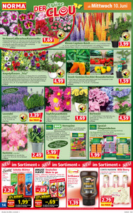 NORMA Prospekt - Angebote ab 08.06.