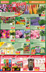 NORMA Prospekt - Angebote ab 08.06.