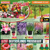 NORMA Prospekt - Blumen