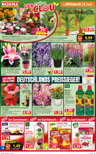 NORMA Prospekt - Angebote ab 22.06.
