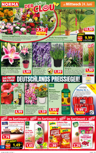 NORMA Prospekt - Angebote ab 22.06.