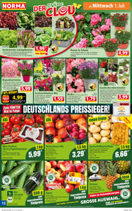 NORMA Prospekt - Angebote ab 29.06.