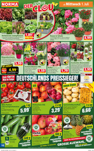 NORMA Prospekt - Angebote ab 29.06.