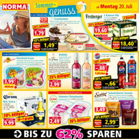 NORMA Prospekt Seite 13