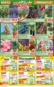 NORMA Prospekt - Angebote ab 20.07.