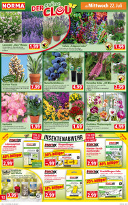 NORMA Prospekt - Angebote ab 20.07.