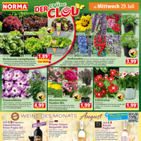 NORMA Prospekt Seite 12