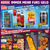NORMA Prospekt Seite 10