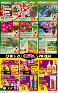 NORMA Prospekt - Angebote ab 10.08.