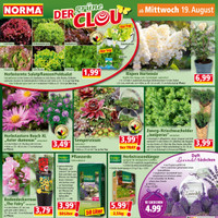 NORMA Prospekt - Blumen