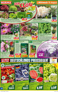 NORMA Prospekt - Angebote ab 24.08.