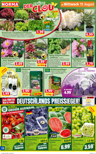 NORMA Prospekt - Angebote ab 24.08.