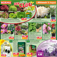 NORMA Prospekt Seite 12