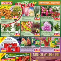 NORMA Prospekt Seite 12