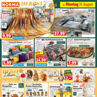 NORMA Prospekt Seite 3