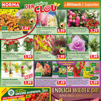 NORMA Prospekt Seite 12