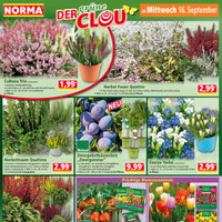 NORMA Prospekt Seite 14