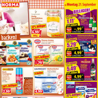 NORMA Prospekt Seite 9