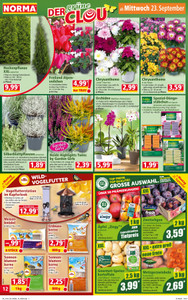 NORMA Prospekt - Angebote ab 21.09.