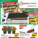 BAUKING Prospekt - Blumen