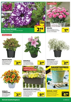 BAUKING Prospekt - So günstig geht das!