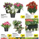 BAUKING Prospekt - Blumen