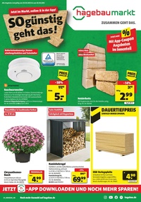 BAUKING Prospekt - Angebote ab 30.08.