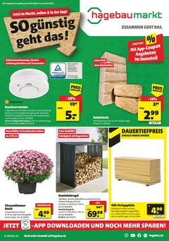 BAUKING Prospekt - Angebote ab 30.08.