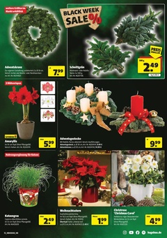 BAUKING Prospekt - Angebote ab 22.11.