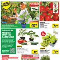 BAUKING Prospekt - Obst & Gemüse