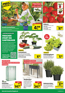 BAUKING Prospekt - Angebote ab 28.03.