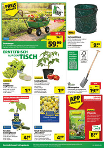 BAUKING Prospekt - Hier Beginnt Dein Traumrasen