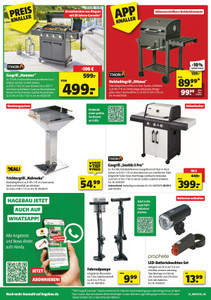 BAUKING Prospekt - Hier Beginnt Dein Traumrasen