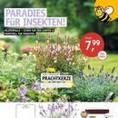 Klukkert Prospekt Seite 2