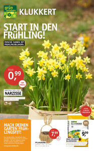 Klukkert Prospekt - Start in den Frühling 