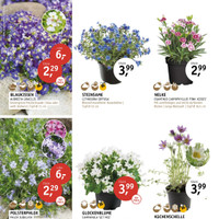 Klukkert Prospekt Seite 2