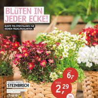 Klukkert Prospekt Seite 3