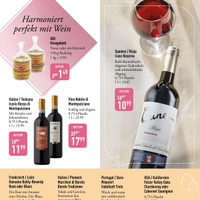 GALERIA Markthalle Prospekt Seite 13