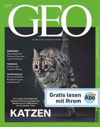 Täglicher Anzeiger Holzminden Prospekt - Geo Abo Vorteil Täglicher Anzeiger VK