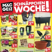 Mäc-Geiz Prospekt - Blumen