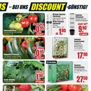 B1 Discount Baumarkt Prospekt - Obst & Gemüse