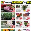 B1 Discount Baumarkt Prospekt - Blumen